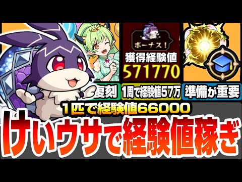 【モンスト】1周で経験値57万！神イベ『けいウサ』に備えよう！効率良いランク上げの為に事前準備が重要！周回は絶対にアレを使おう！復刻されたリドーラ姫を周回しよう！【モンフリ】【へっぽこストライカー】