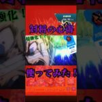 【モンスト】 60秒で分かるかもしれない 対将の心得使ってみた #モンスト モンスト