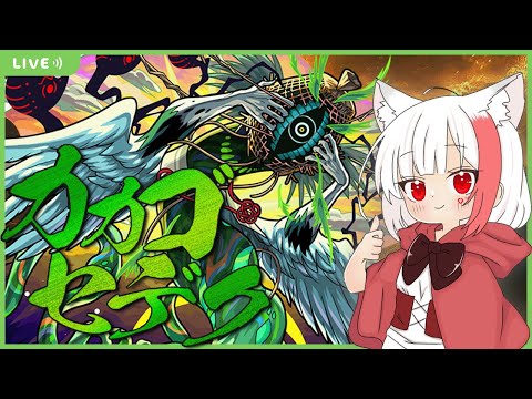 【 #モンスト 歴 412日 参加型 】#初見歓迎 カカゴセデクの初クリアを目指す！みんなよろしくお願いします～