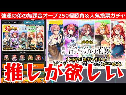 【モンスト】「五等分の花嫁 弟ガチャ」推しのあの子が欲しい!!強運無課金の弟が貯めたオーブ250個大勝負!!!＆人気投票ガチャ【五等分の花嫁コラボ】