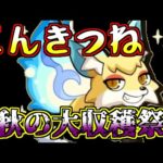 【モンスト】秋のこんきつね大量収穫祭！