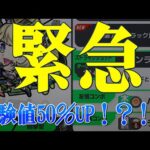 【経験値50％UP】緊急！！とんでもないことおきた。情報整理します
