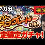 【ガチャ】※大チャンス※限定確定！！カラサワの『デイリーアップグレードガチャ』4垢分【モンスト】