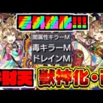 【クリスマス号外!!】『弁財天獣神化改』へ!!4倍キラー&ドレインMの回復力!!!使用感は!!!【ぺんぺん】