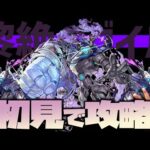 黎絶初日全戦全勝！黎絶ペグイルで記録は止まるのか止まらないのか！運極エルで挑む！【モンスト】【ぎこちゃん】