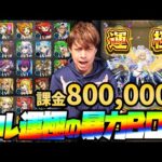 80万円使って新春超獣神祭『エル』運極にしたらBOXの運極が大爆発した【モンスト】【ぎこちゃん】【モンスターストライク】