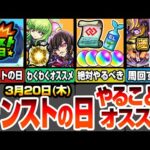 【モンスト】モンストの日やることまとめ！※絶対やるべきオーブやコネクトスキルの書の回収※ルルーシュ/紅月カレン/枢木スザク/C.C.のオススメわくわくの実【コードギアスコラボ】【へっぽこストライカー】