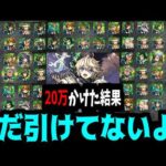 【地獄】引けたら即ゲームオーバーのガチャ。「もう1体」がないガチャだ！エトワール!!!!【モンスト】