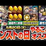【モンスト】モンストの日やることまとめ※重要注意あり※新イベはアイツらの高速周回で運極が作り放題！最新キャラとネブカドネザルのオススメわくわくの実！周回すべき絶級降臨と適性まとめ【へっぽこストライカー