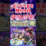 【モンドリ直前】天魔の孤城《空中庭園》庭園1〜庭園5ガチパ紹介【モンスト】#モンスト #モンスターストライク #庭園