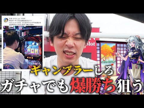 【モンスト】ギャンブラーしろ、モンドリ前だけど爆勝ち目指してガチャに挑む！新限定『いろは』狙いで激獣神祭ガチャ引き散らかした結果！【しろ】