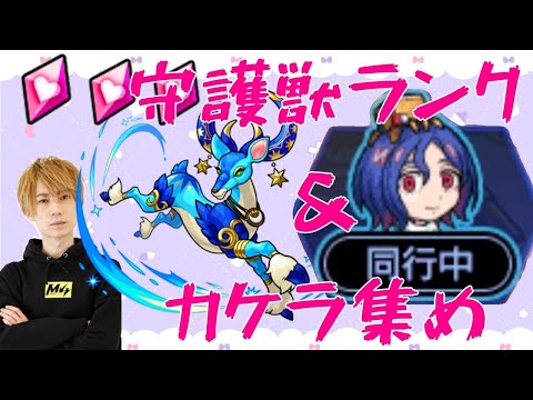 【モンスト】【雑談】シュウジと守護獣【LIVE】