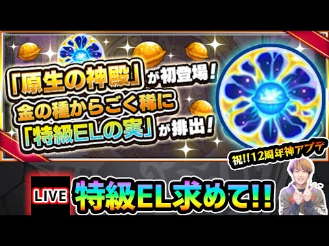 【🔴モンストライブ】※特級ELを求めて！！新ステージ『原生の神殿』周回しまくるぞ！【けーどら】