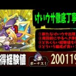 【周回解説】これがけいウサを超えたけいウサ…「キングけいウサ」ってとこかな【モンスト】