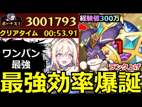 【モンスト】「キングけいウサ」《最強効率!!》※まじか…経験値300万うますぎだろ!!オススメ編成ボス1ワンパン＆メダル稼ぎ対応解説!!【ランク上げ】【ユーフリィム】