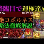 【モンスト】4降臨目でようやく安定攻略!!ついに黎絶『コポルネス』運極達成!!おすすめの周回編成と各マップの立ち回り＆注意点を徹底解説!!