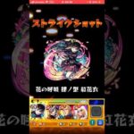 【モンスト】栗花落かなおのSSを使って見た‼️#モンスト #shorts #ばすれ