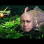 ガチランク！走り抜けろ！【モンスト】【ぎこちゃん】【モンスターストライク】