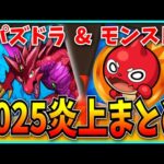 【2025】視聴者から届いた「パズドラ×モンスト炎上&珍事件まとめ」を見ていくぞ！
