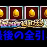 【大晦日オールスター限定確定】神【モンスト】