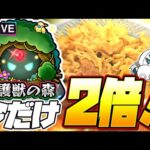 【モンストLIVE🔴】お値段そのままで2倍2倍2倍2倍2倍2倍2倍2倍2倍2倍2倍2倍2倍2倍2倍2倍2倍2倍2倍2倍2倍2倍2倍2倍【モンスターストライク】