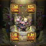 チェルノボク運極終わったぁ～！！！ #モンスト #チェルノボク #運極