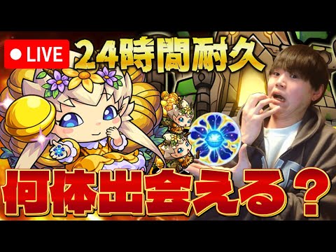 【モンストLIVE】24時間原生の神殿を周回し続けたらわくわくプリンセスは何体出るのか検証します#2