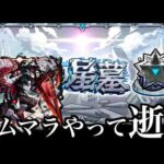 逝くぞ！アムマラ！！！！【モンスト】