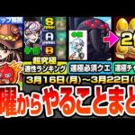 【モンスト】月曜からやることまとめ※超究極に備えよ※デストロイヤーの適性はキャンペーンで簡単に運極を作ろう！超究極適性ランキング！周回すべき絶級とキャンペーン【このすばコラボ】へっぽこストライカー